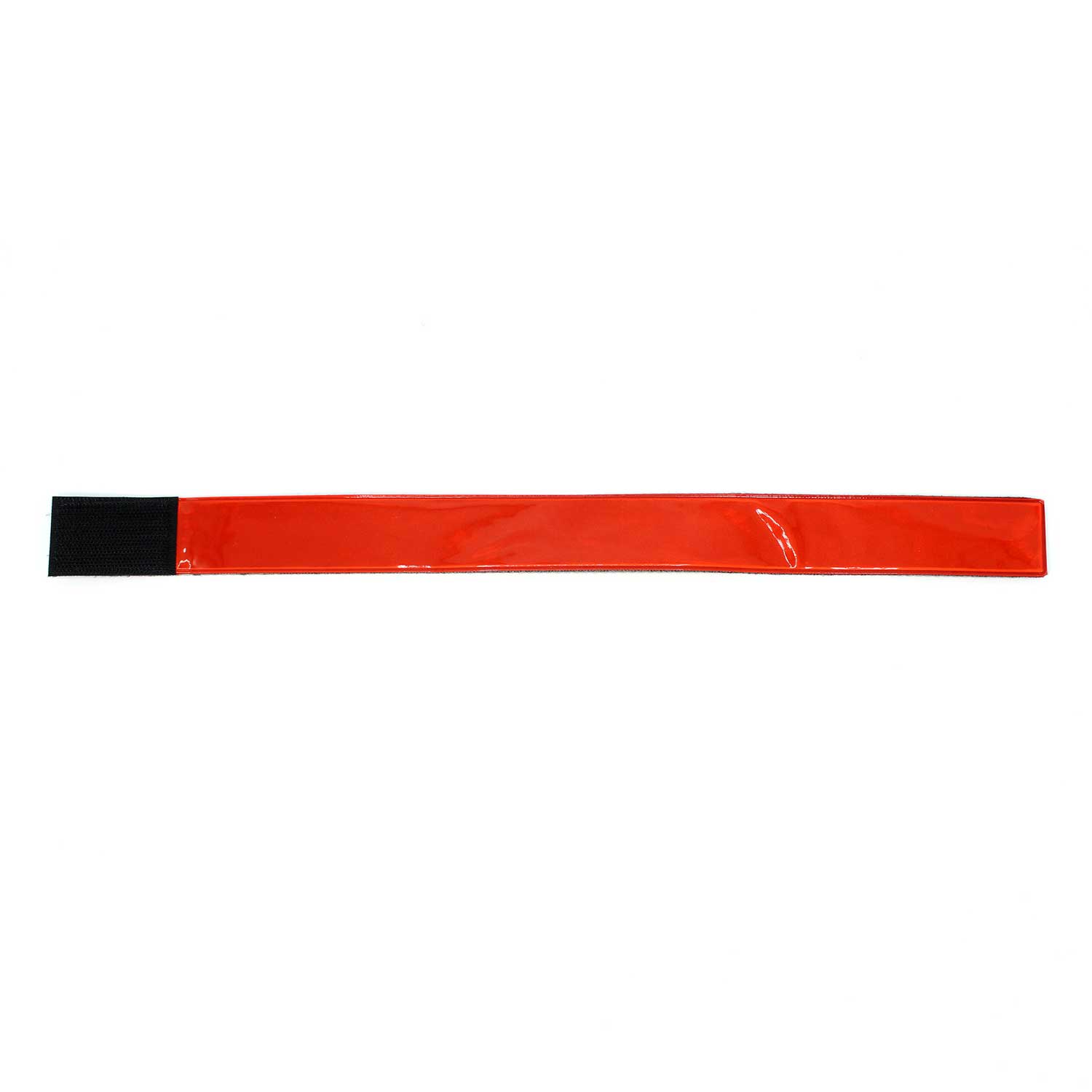 al-0157_rot